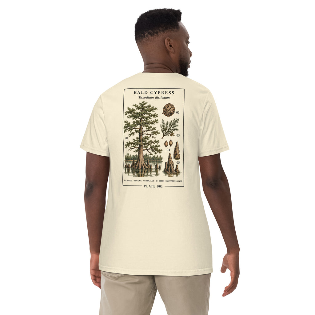 Ivory T-shirt showing the Bald Cypress botanical plate on the back