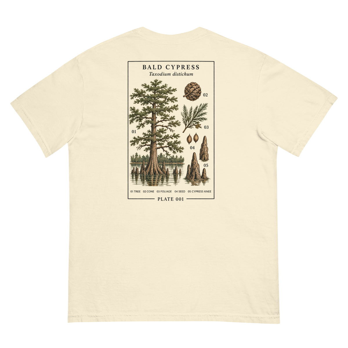 LINNAEUS Plate 001 Bald Cypress shirt