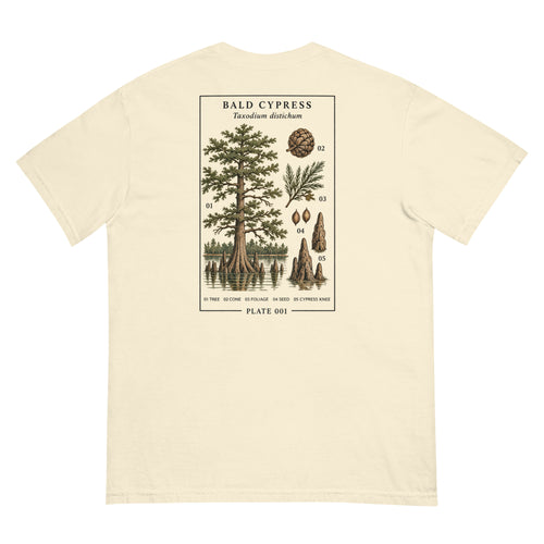 Ivory Bald Cypress T-shirt, back view with Plate 001 natural history illustration